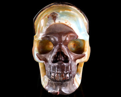 7.5" Natural Amazonite Hand Carved Crystal Realistic Skull Sculpture
