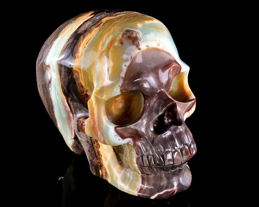 7.5" Natural Amazonite Hand Carved Crystal Realistic Skull Sculpture