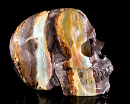 7.5" Natural Amazonite Hand Carved Crystal Realistic Skull Sculpture