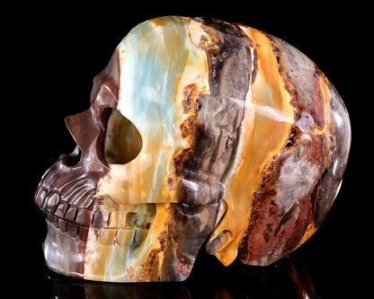 7.5" Natural Amazonite Hand Carved Crystal Realistic Skull Sculpture