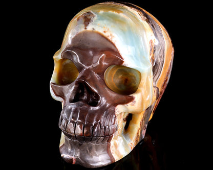7.5" Natural Amazonite Hand Carved Crystal Realistic Skull Sculpture