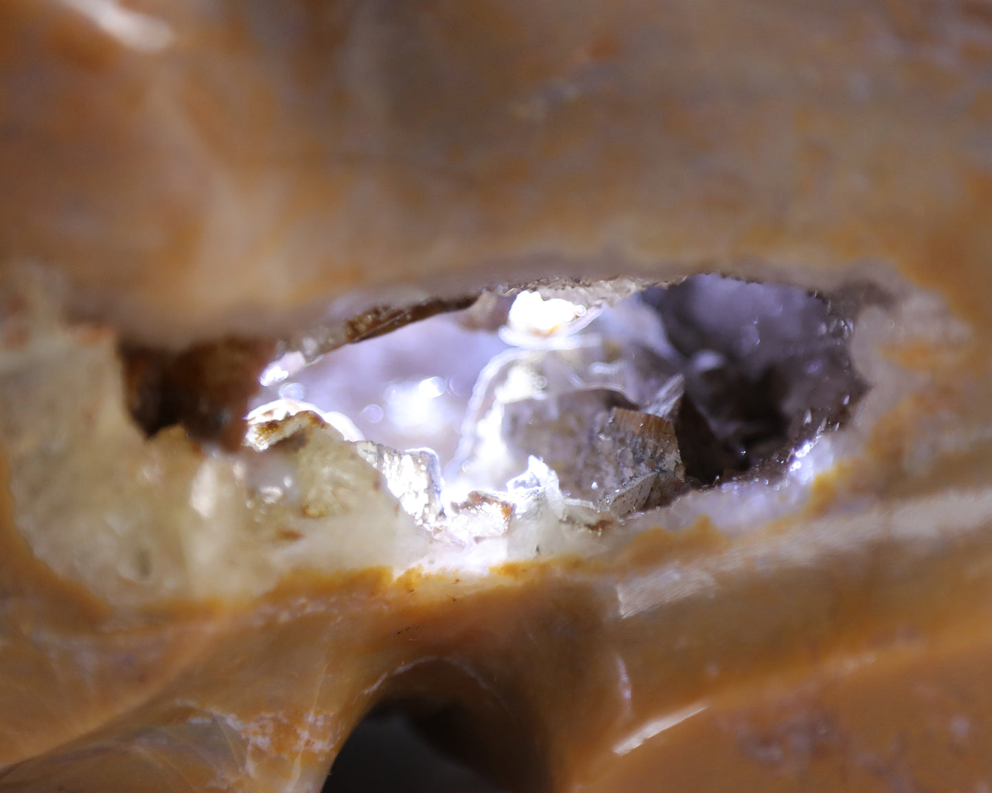 8.3" Chalcedony Hand Carved Crystal Geode Skull Sculpture Crystallumi