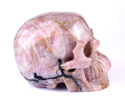 8.5" Rubellite Tourmaline Hand Carved Crystal Realistic Skull Sculpture Crystallumi