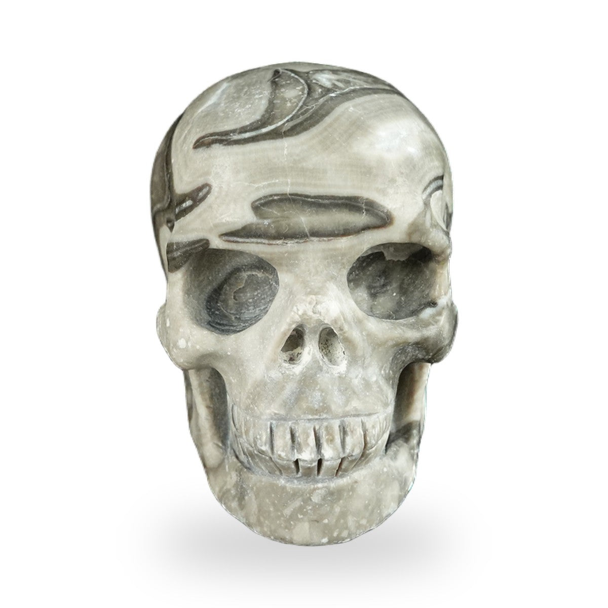 Black Crazy Agate crystal skull 2.2" SKH20BCA01 hand carved gemstone