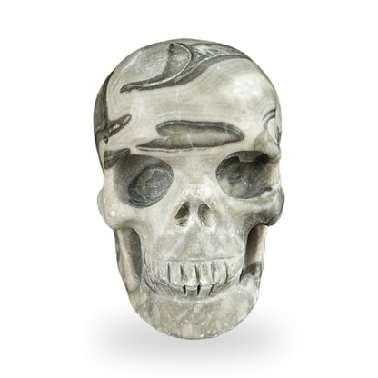 Black Crazy Agate crystal skull 2.2" SKH20BCA01 hand carved gemstone