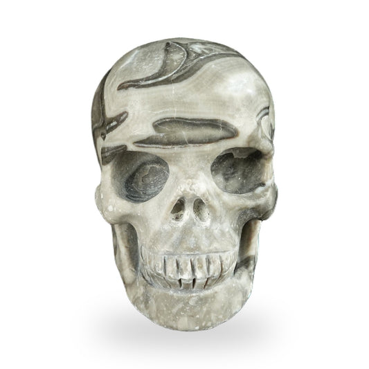 Black Crazy Agate crystal skull 2.2" SKH20BCA01 hand carved gemstone