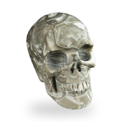 Black Crazy Agate crystal skull 2.2" SKH20BCA02 photo 2