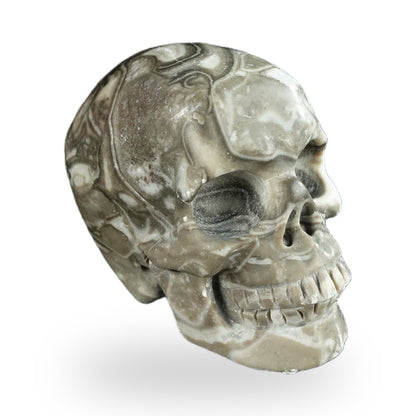 Black Crazy Agate crystal skull 2.2" SKH20BCA02 photo 3