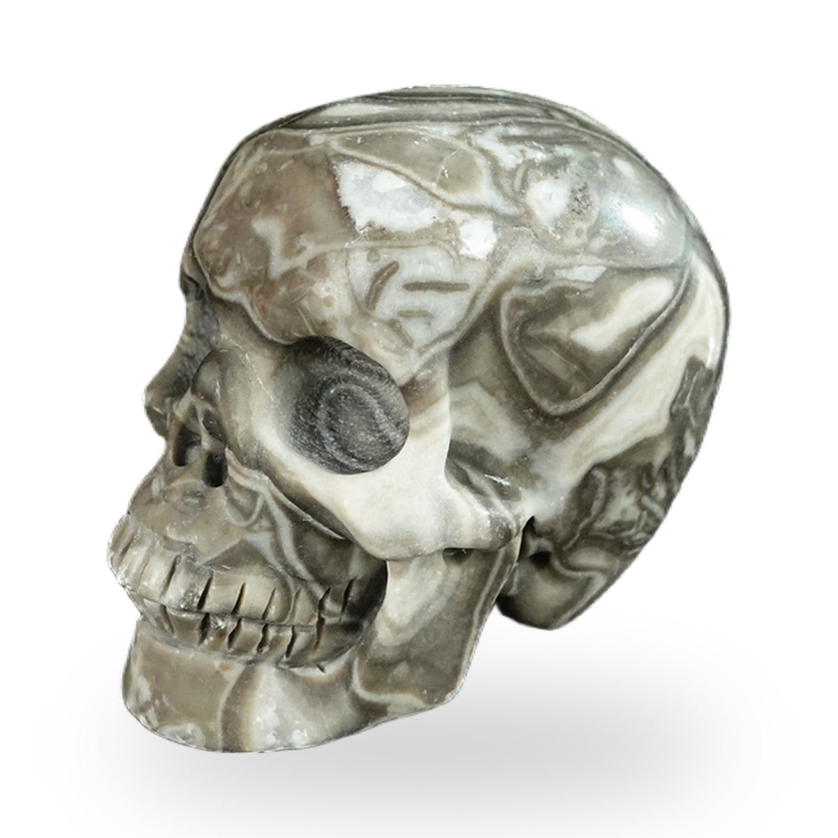 Black Crazy Agate crystal skull 2.2" SKH20BCA02 photo 7
