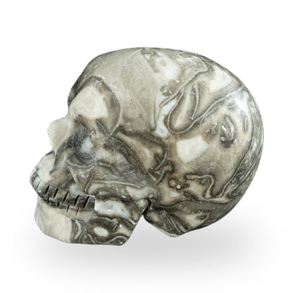 Black Crazy Agate crystal skull 2.2" SKH20BCA03 photo 6