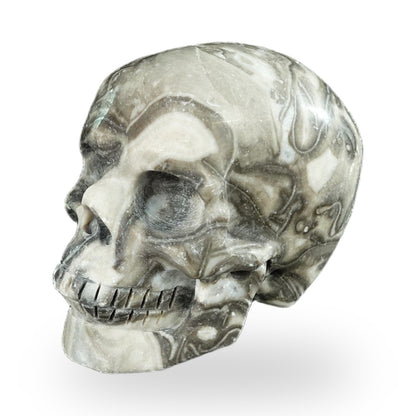 Black Crazy Agate crystal skull 2.2" SKH20BCA03 photo 7