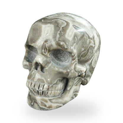 Black Crazy Agate crystal skull 2.2" SKH20BCA04 photo 8