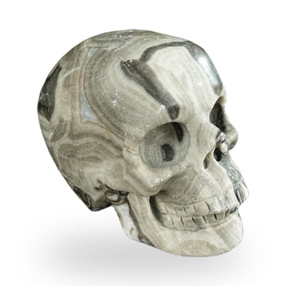 Black Crazy Agate crystal skull 2.2" SKH20BCA05 photo 4