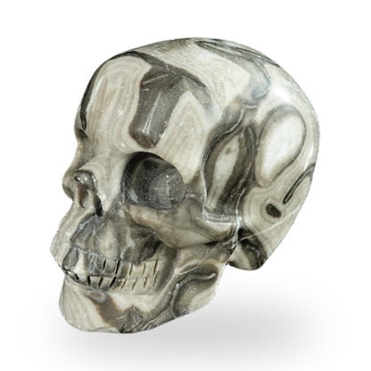 Black Crazy Agate crystal skull 2.2" SKH20BCA05 photo 7