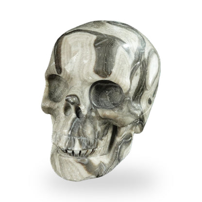 Black Crazy Agate crystal skull 2.2" SKH20BCA05 photo 8