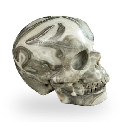 Black Crazy Agate crystal skull 2.2" SKH20BCA06 photo 4