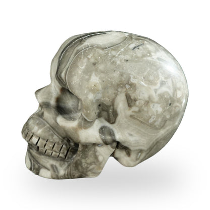 Black Crazy Agate crystal skull 2.2" SKH20BCA06 photo 6