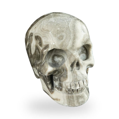 Black Crazy Agate crystal skull 2.2" SKH20BCA08 photo 2