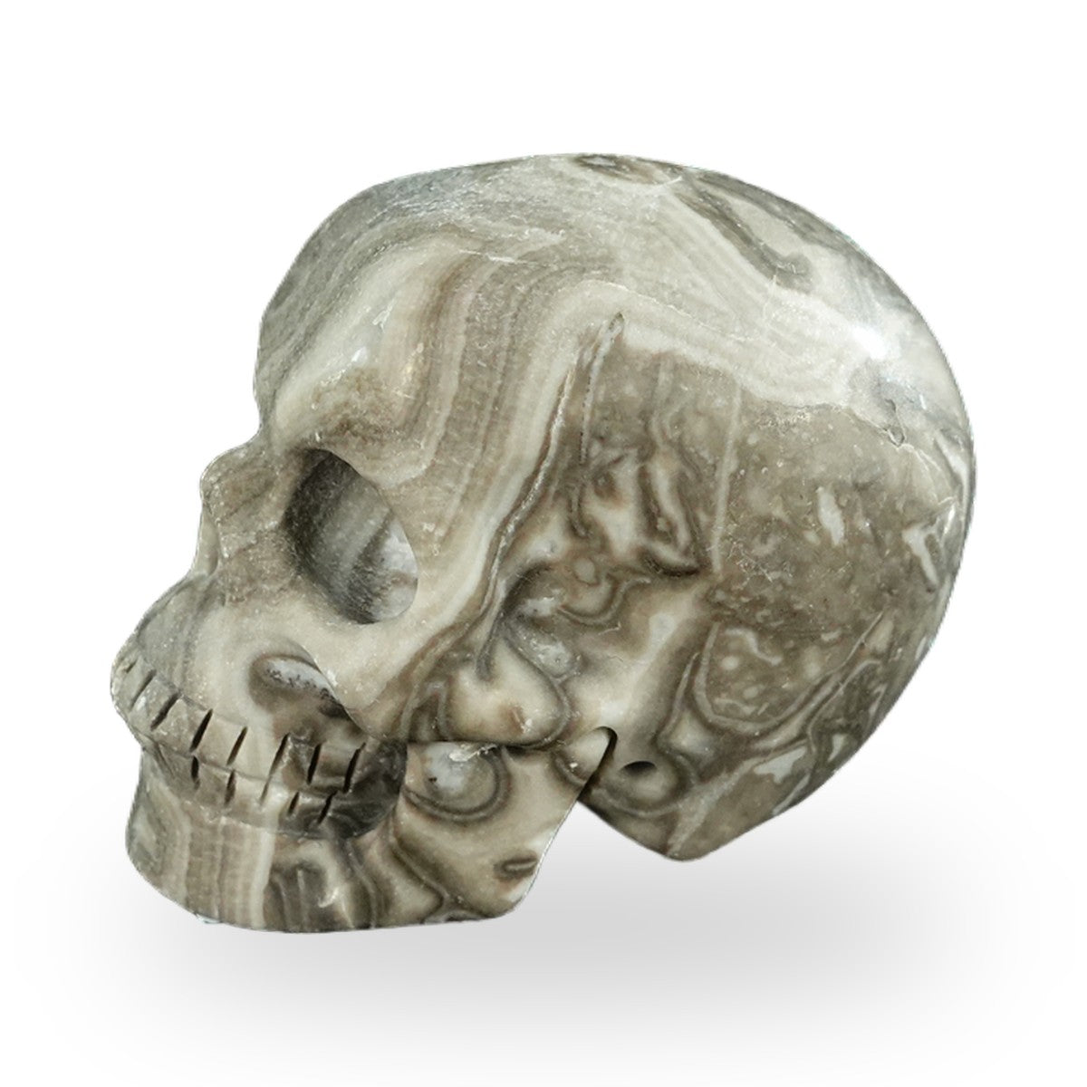 Black Crazy Agate crystal skull 2.2" SKH20BCA08 photo 5
