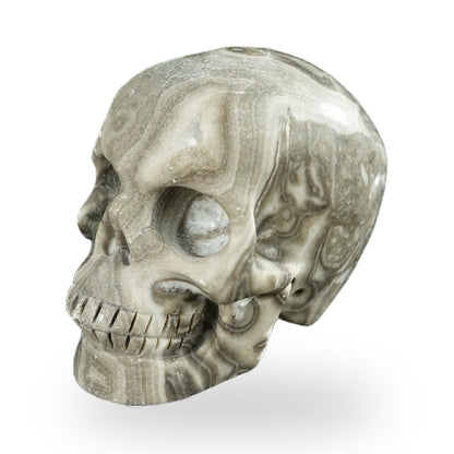 Black Crazy Agate crystal skull 2.2" SKH20BCA08 photo 6