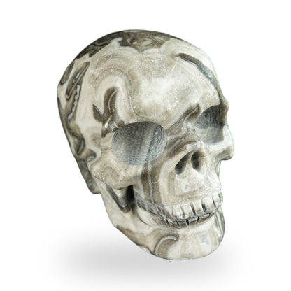 Black Crazy Agate crystal skull 2.2" SKH20BCA10 photo 2