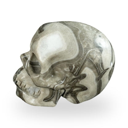 Black Crazy Agate crystal skull 2.2" SKH20BCA14 photo 5