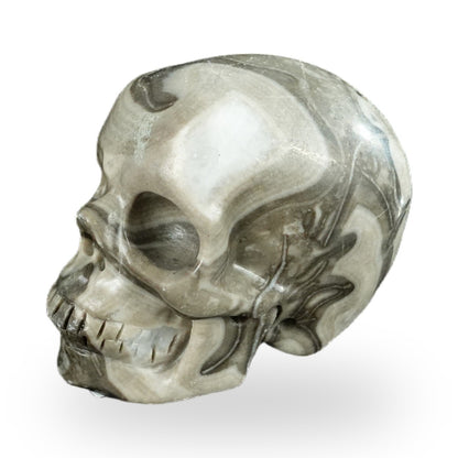 Black Crazy Agate crystal skull 2.2" SKH20BCA14 photo 6