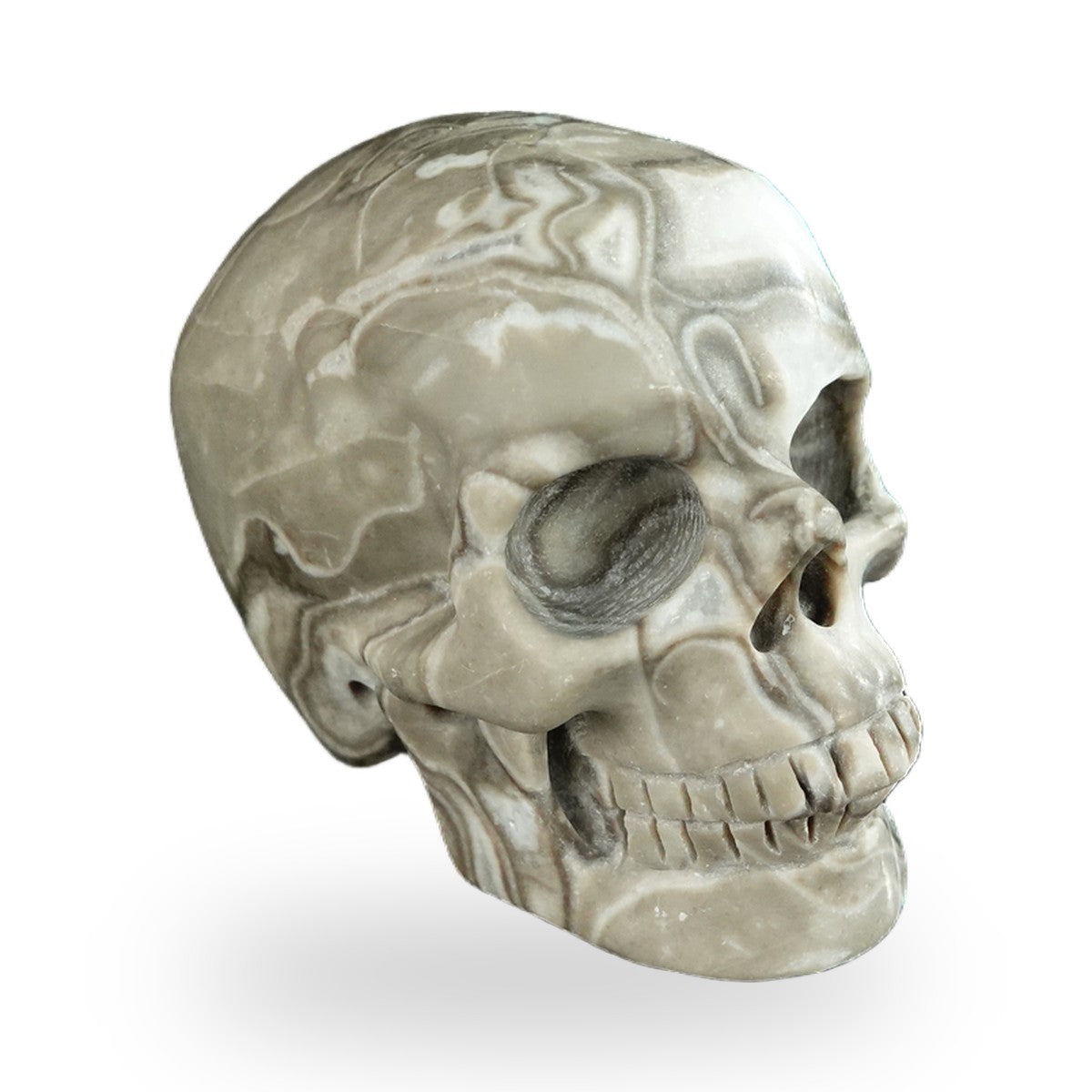 Black Crazy Agate crystal skull 2.2" SKH20BCA15 photo 4
