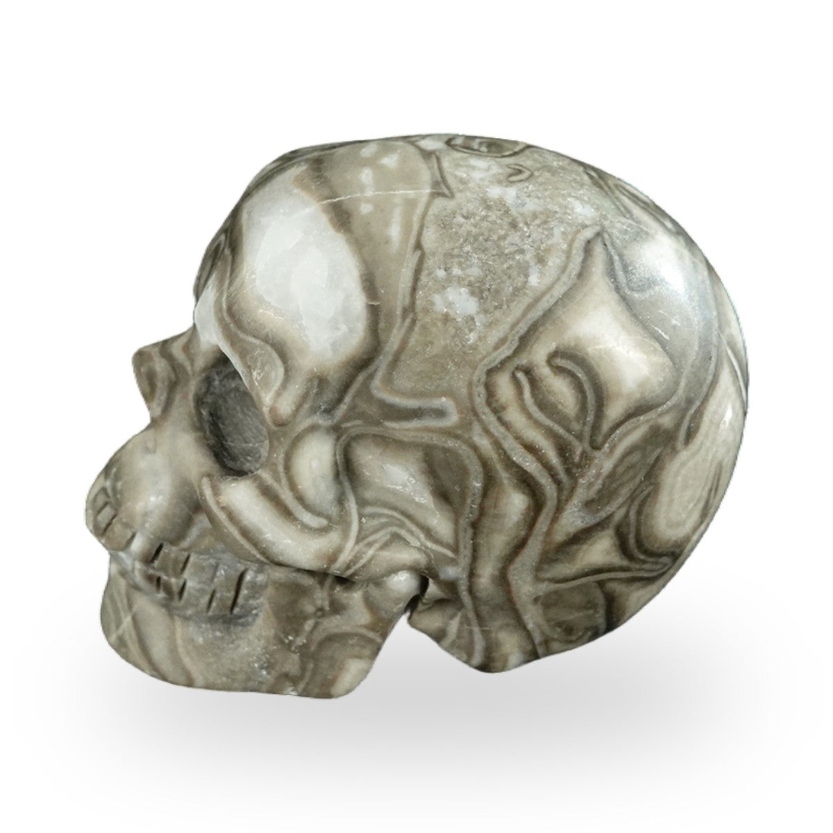 Black Crazy Agate crystal skull 2.2" SKH20BCA15 photo 6