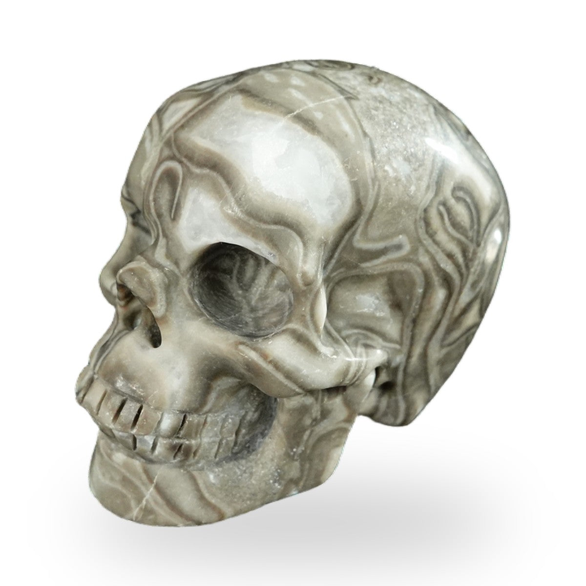 Black Crazy Agate crystal skull 2.2" SKH20BCA15 photo 7