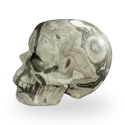 Black Crazy Agate crystal skull 2.2" SKH20BCA18 photo 6