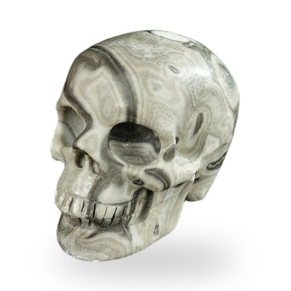 Black Crazy Agate crystal skull 2.2" SKH20BCA18 photo 8