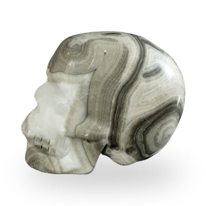 Black Crazy Agate crystal skull 2.2" SKH20BCA19 photo 6