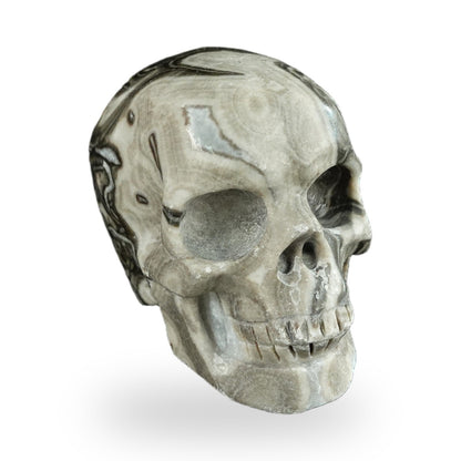 Black Crazy Agate crystal skull 2.2" SKH20BCA20 photo 2