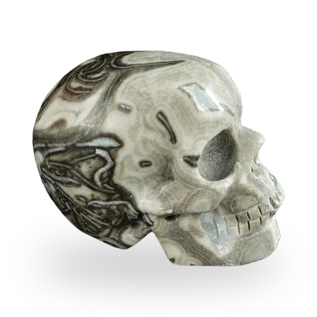 Black Crazy Agate crystal skull 2.2" SKH20BCA20 photo 4