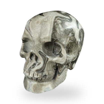 Black Crazy Agate crystal skull 2.2" SKH20BCA20 photo 7