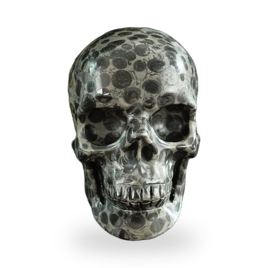 Black Leopard Skin Jasper crystal skull 3" SKH30BLS01 hand carved gemstone