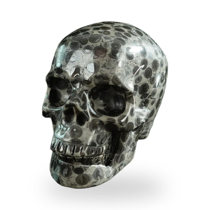 Black Leopard Skin Jasper crystal skull 3" SKH30BLS01 view 2