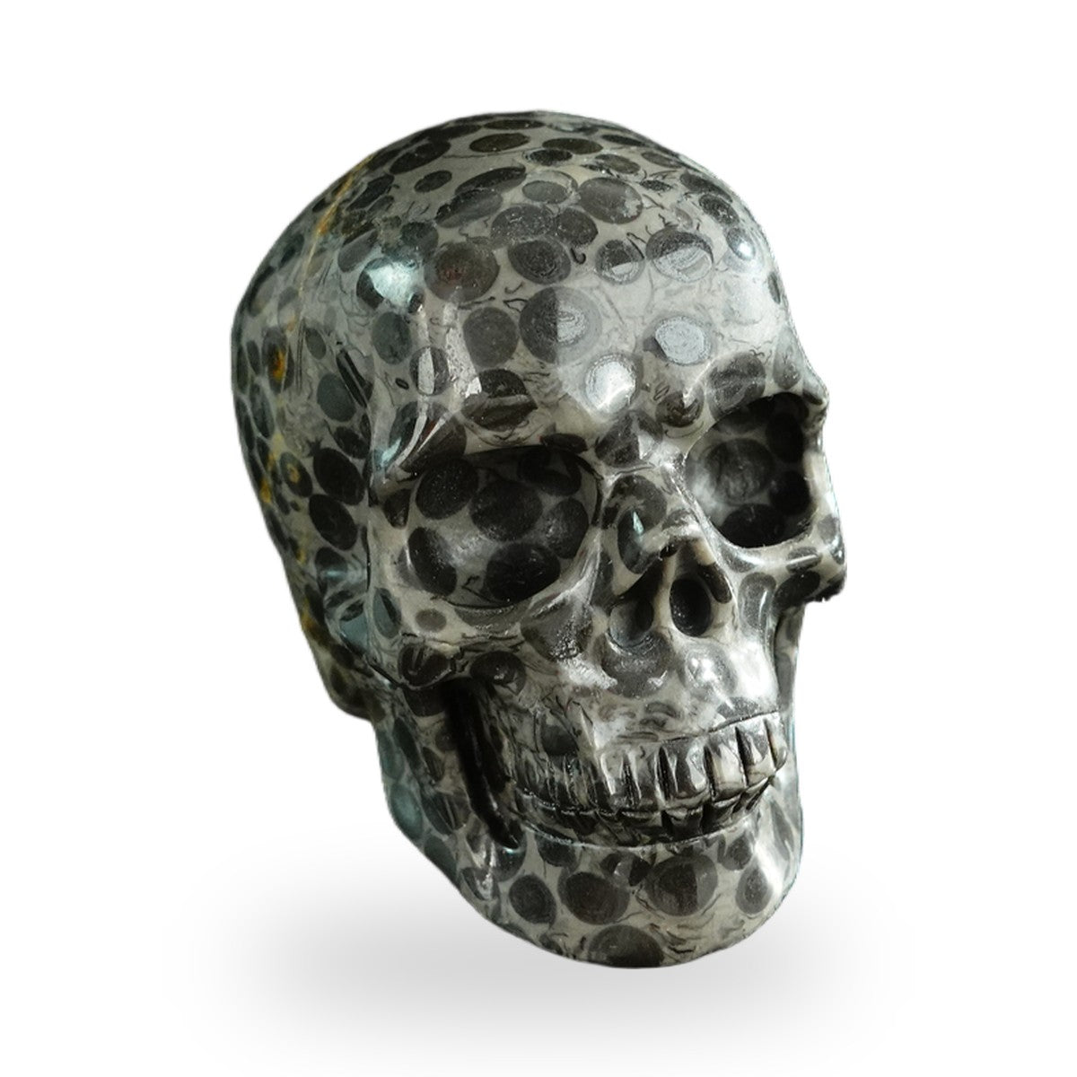 Black Leopard Skin Jasper crystal skull 3" SKH30BLS01 view 3