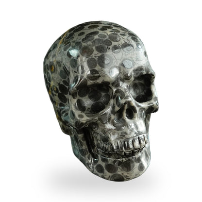 Black Leopard Skin Jasper crystal skull 3" SKH30BLS01 view 3