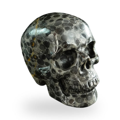 Black Leopard Skin Jasper crystal skull 3" SKH30BLS01 view 4