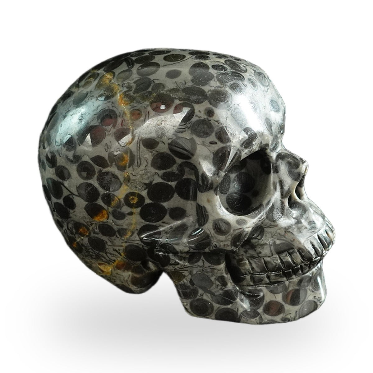 Black Leopard Skin Jasper crystal skull 3" SKH30BLS01 view 5