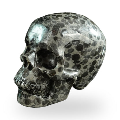 Black Leopard Skin Jasper crystal skull 3" SKH30BLS01 view 8