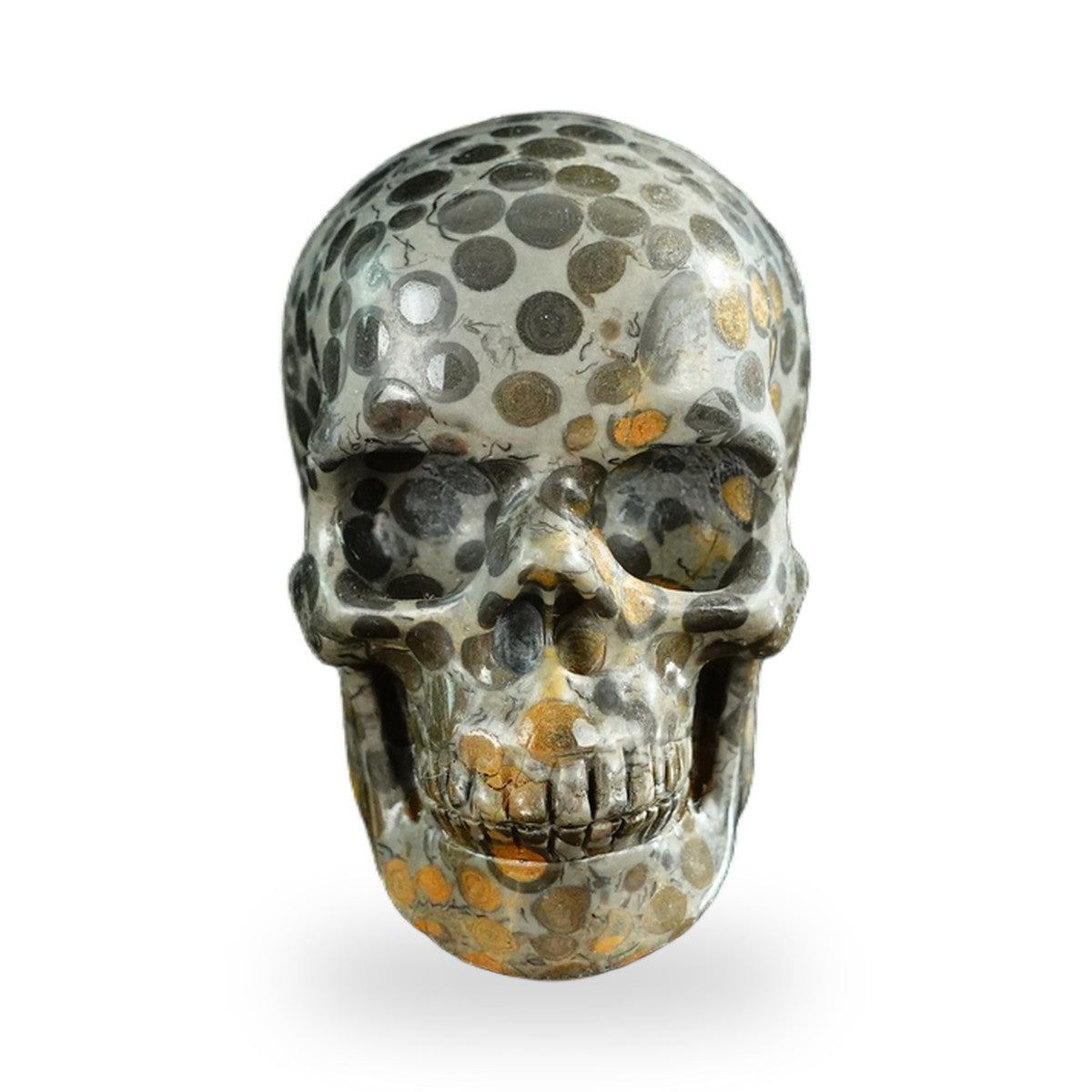 Black Leopard Skin Jasper crystal skull 3" SKH30BLS02 photo 1
