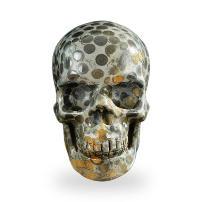 Black Leopard Skin Jasper crystal skull 3" SKH30BLS02 photo 1