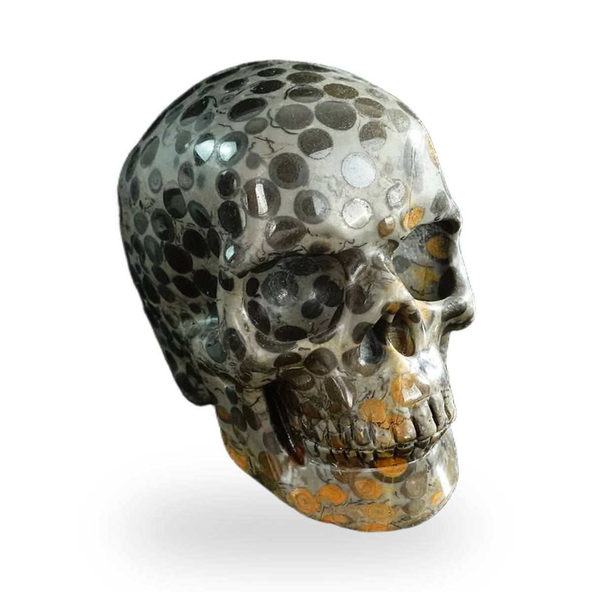 Black Leopard Skin Jasper crystal skull 3" SKH30BLS02 photo 2