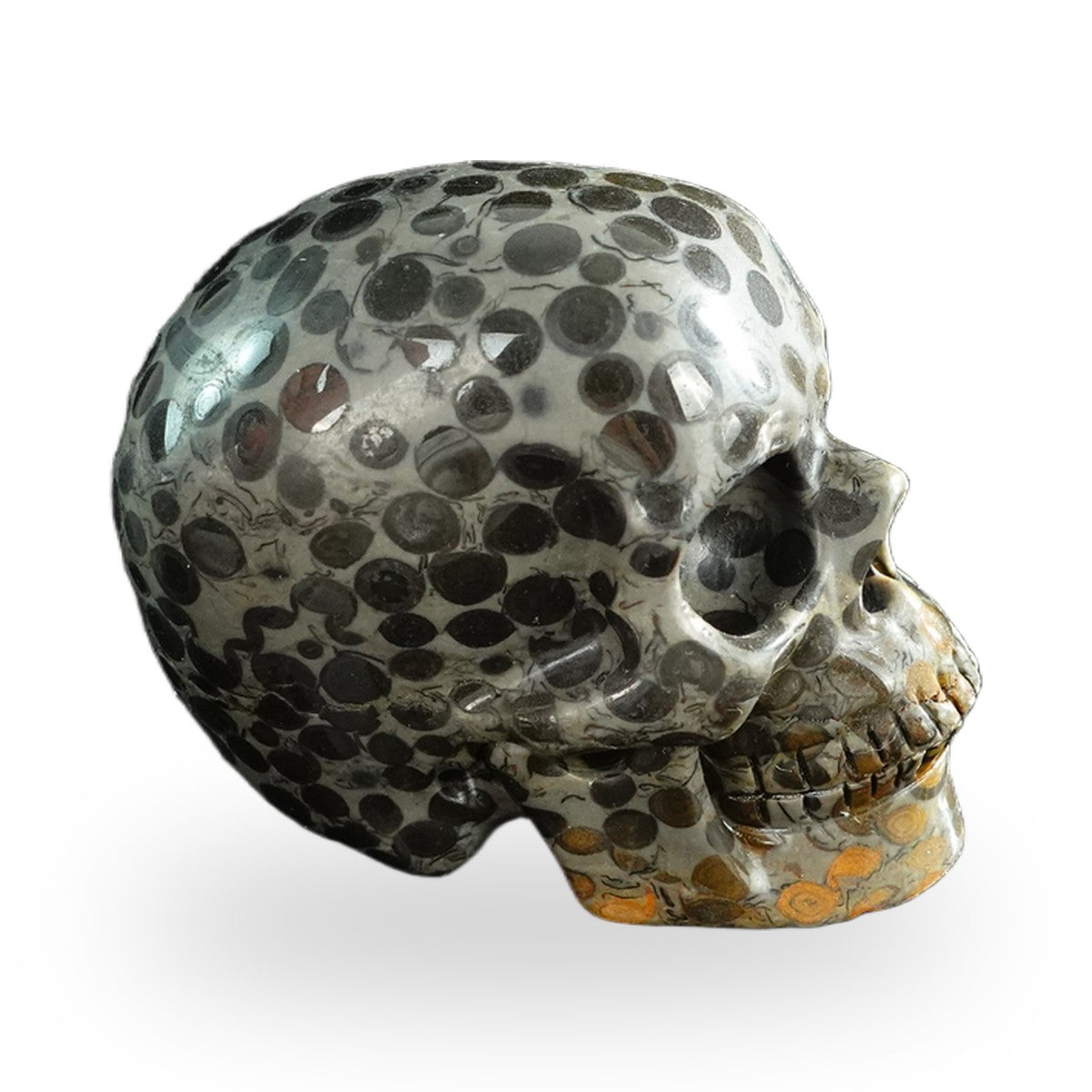 Black Leopard Skin Jasper crystal skull 3" SKH30BLS02 photo 3