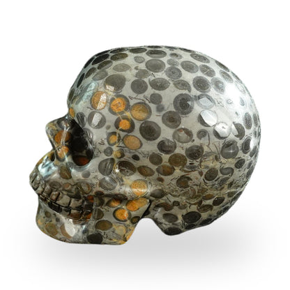 Black Leopard Skin Jasper crystal skull 3" SKH30BLS02 photo 5