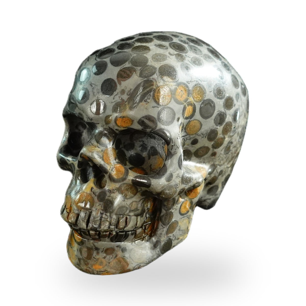 Black Leopard Skin Jasper crystal skull 3" SKH30BLS02 photo 7