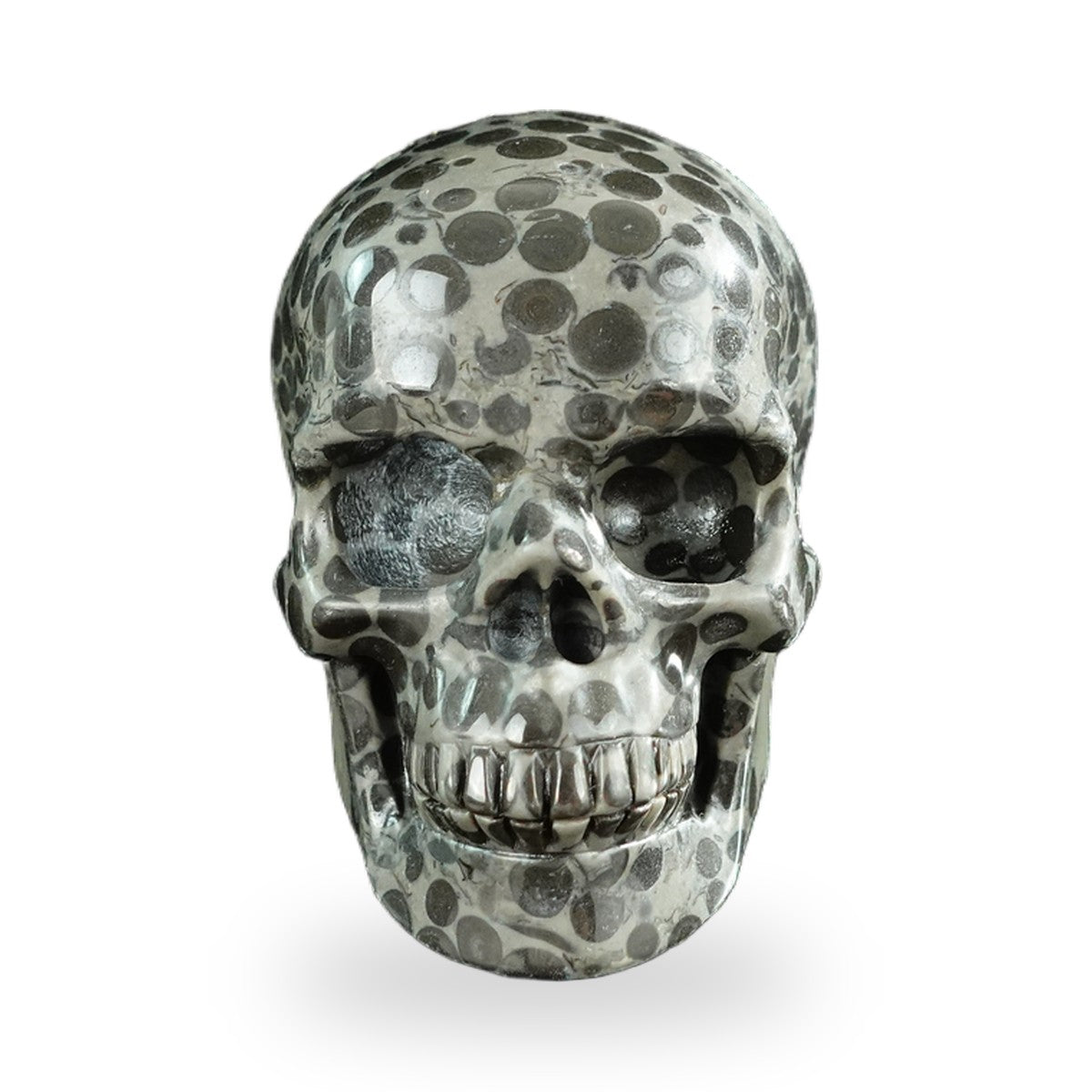 Black Leopard Skin Jasper crystal skull 3" SKH30BLS03 photo 1